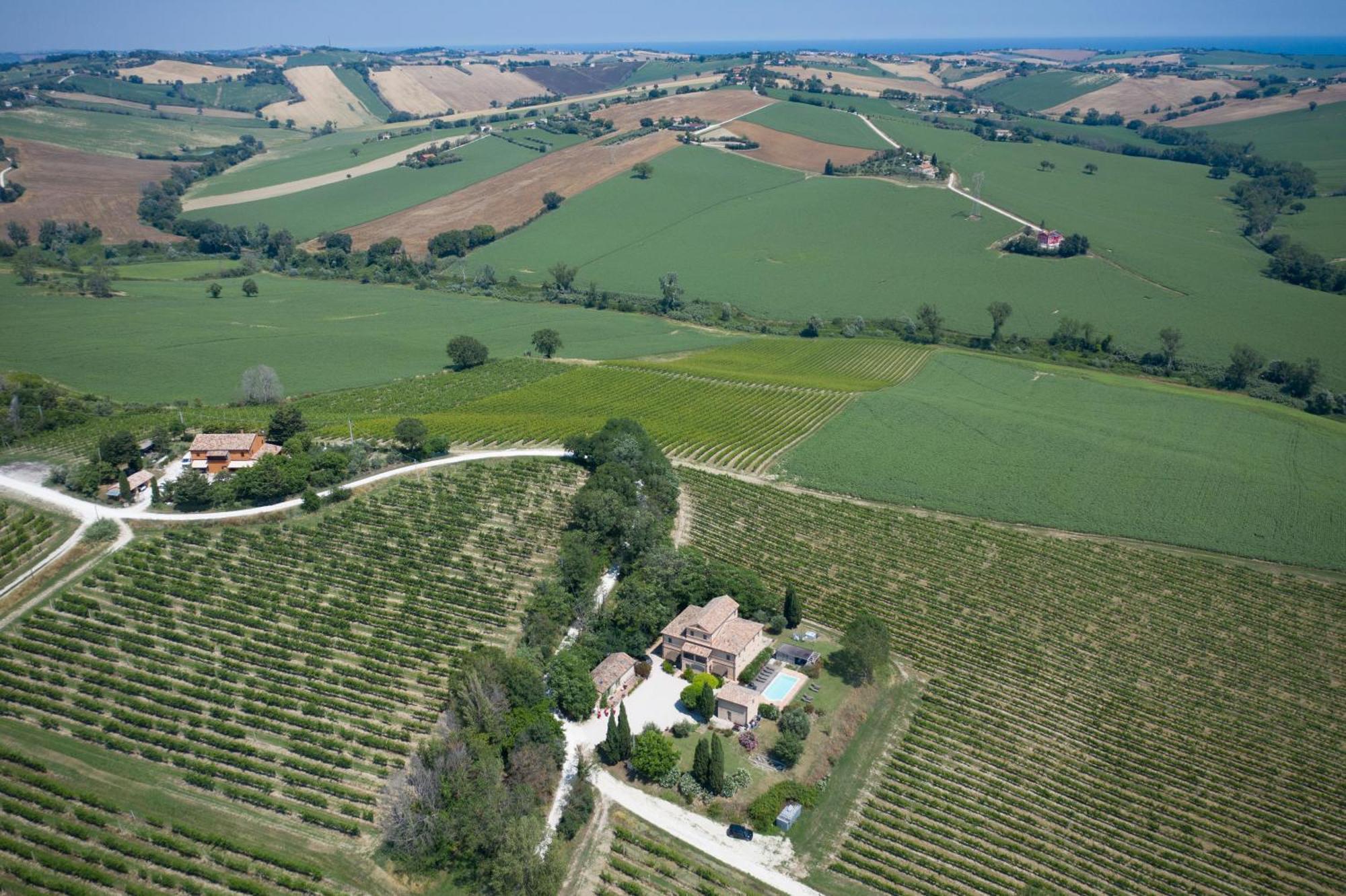 La Vita Nuova Appartements Morro dʼAlba Exterior foto